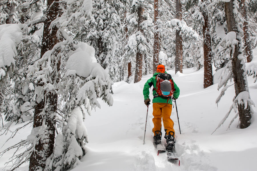 HATCHEY SPLITBOARD TIMBER